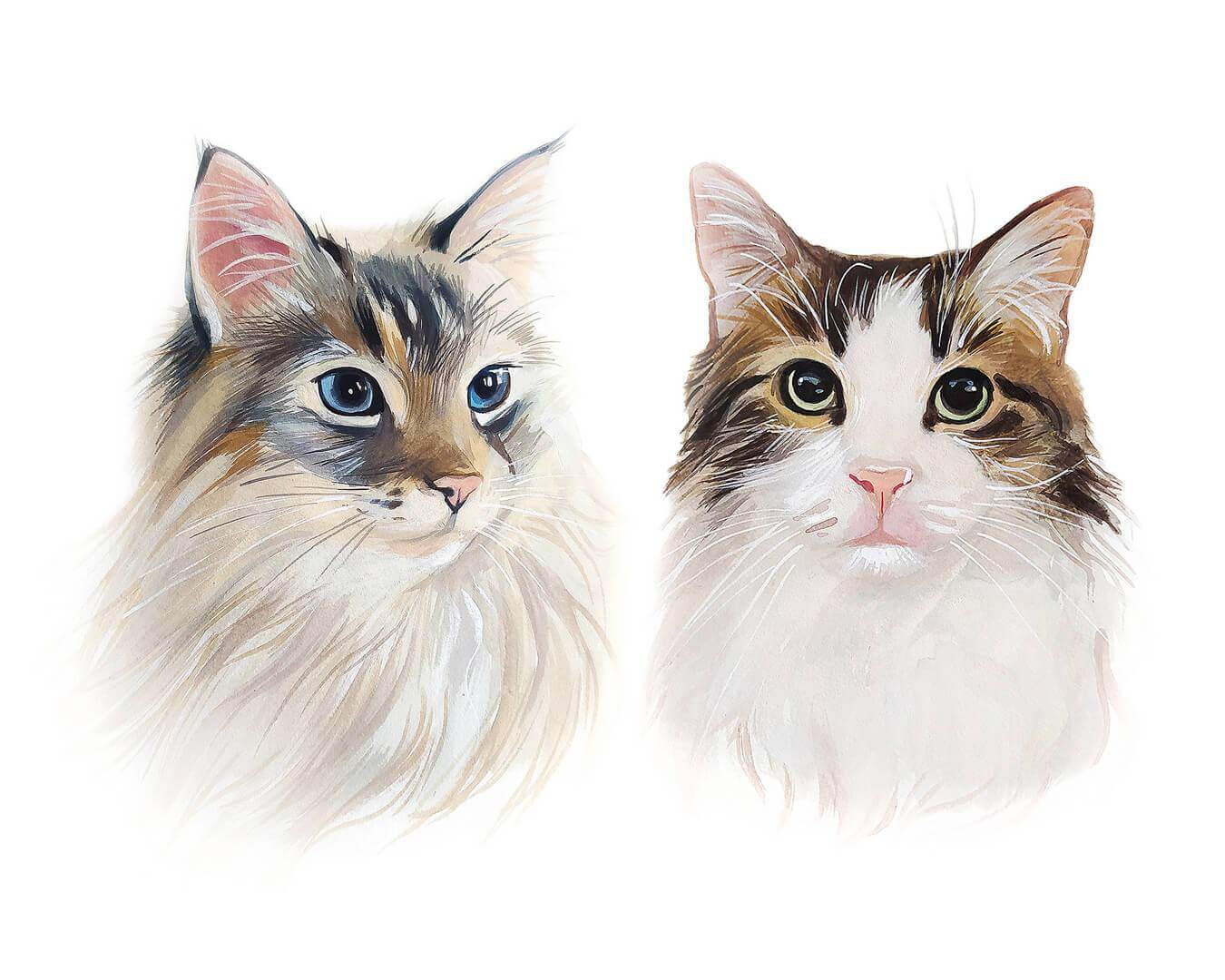 Custom watercolor Pet Painting, Pet Portrait, Custom Pet Portrait, Custom Cat Portrait, Custom popular Watercolor Portrait, Cat Art Kitty photo